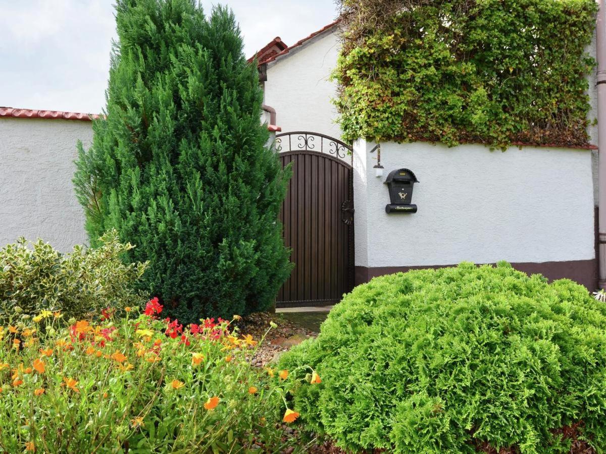 Ferienhaus Christine Schenkendobern ภายนอก รูปภาพ